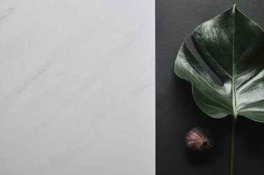 Monstera yaprak ve incir meyve beyaz mermer zemin üzerine siyah kağıt