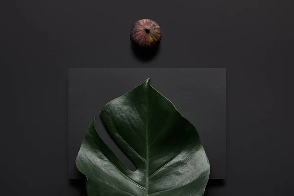 Monstera Leaf Fig Black Notebook Black Background — Free Stock Photo