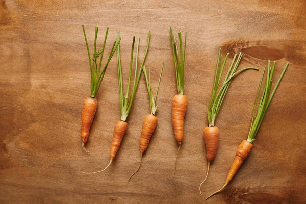 Raw Carrots Row Wooden Table — Stock Photo, Image