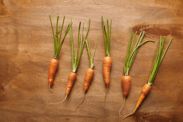 Raw carrots in row on wooden table