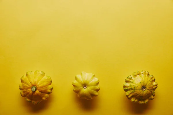 Calabazas Verano Una Fila Sobre Fondo Amarillo — Foto de Stock