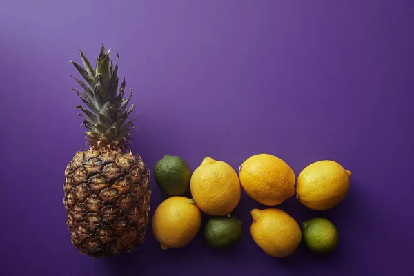 Vue Dessus Ananas Des Citrons Des Limes Sur Surface Violette — Photo gratuite