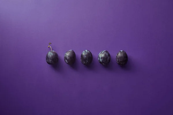 Vue Haut Rangée Prunes Sur Surface Violette — Photo gratuite