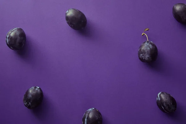 Top View Ripe Plums Violet Surface — Stock Photo, Image