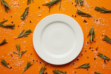 top view of empty round white plate, rosemary, salt and peppercorns on orange clipart