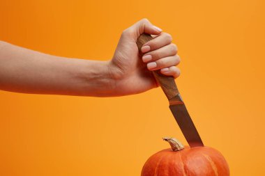 cropped shot of person holding knife and cutting ripe pumpkin isolated on orange  clipart