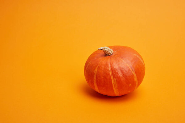 крупный план целой созревшей тыквы на оранжевом фоне
  