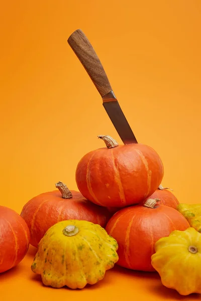 新鮮な熟したカボチャ オレンジ色の背景上にナイフの山  — 無料ストックフォト