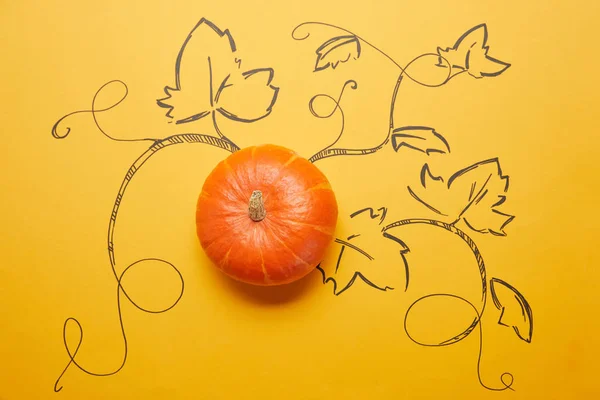 丸ごと完熟カボチャ オレンジ色の背景に描かれた葉の上から見る — ストック写真