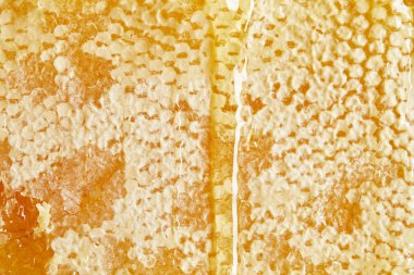 full frame of organic beeswax with honey as background clipart