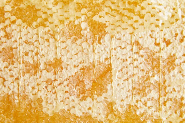 Volledige Frame Van Zoete Bijenwas Met Honing Als Achtergrond — Stockfoto