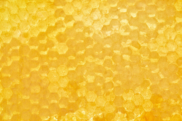 полный кадр пчелиного воска с медом в качестве фона
