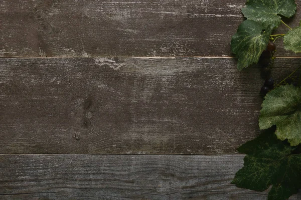 Rustik Ahşap Arka Plan Üzerinde Üstten Görünüm Taze Yeşil Yaprakları — Stok fotoğraf