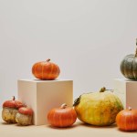 Autumnal decoration with pumpkins on two cubes and beige table