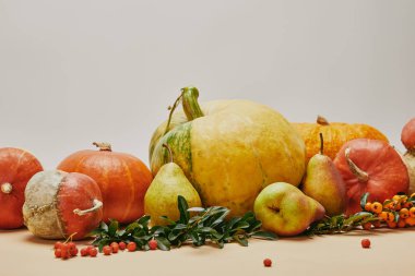 pumpkins, ateş dikeni çilek, armut ve masada yeşil yaprakları ile sonbahar dekorasyon