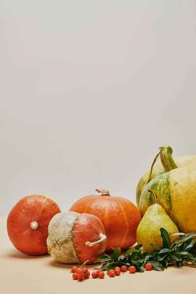 秋天装饰与南瓜 Firethorn 莓果和叶子在桌上 — 免费的图库照片