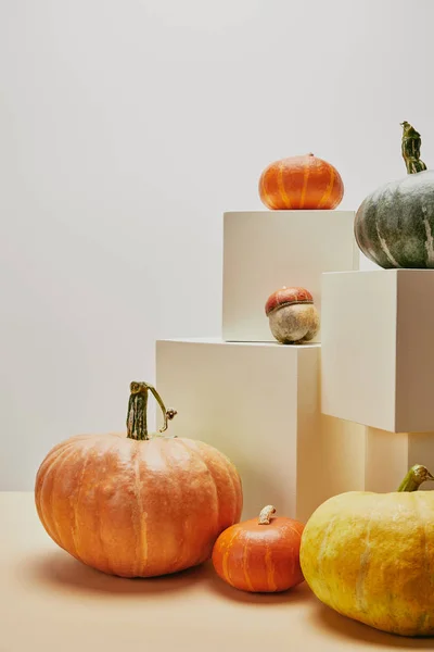 Autumnal Decoration Small Big Pumpkins Cubes Table — Free Stock Photo