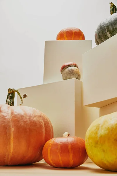 秋季时尚的装饰与南瓜在米色立方体 — 免费的图库照片