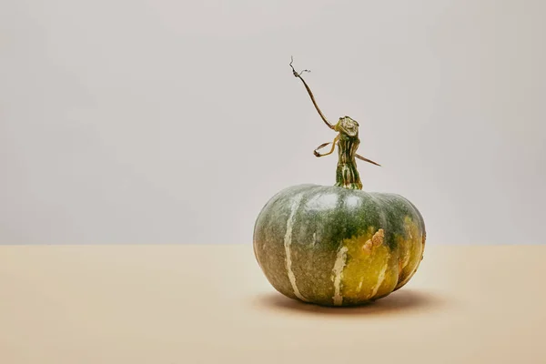 One Ripe Green Pumpkin Beige Surface — Free Stock Photo