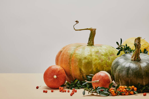 autumnal decoration with green leaves, pumpkins and pyracantha berries on table