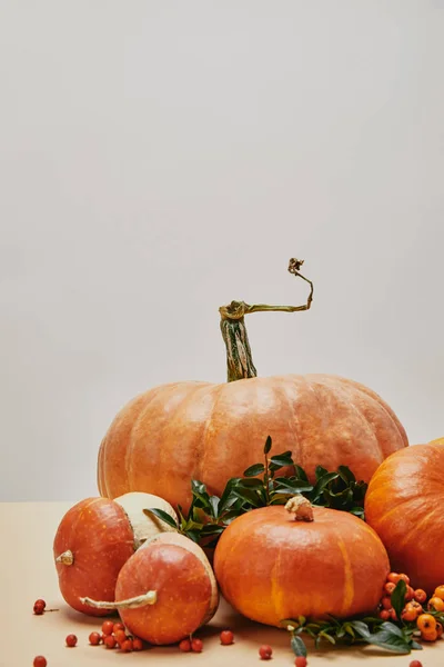 Beautiful Autumnal Decoration Pumpkins Firethorn Berries Table — Stock Photo, Image