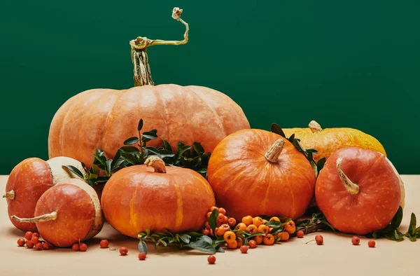 Décoration Automnale Avec Citrouilles Baies Épine Feuilles Vertes Sur Table — Photo