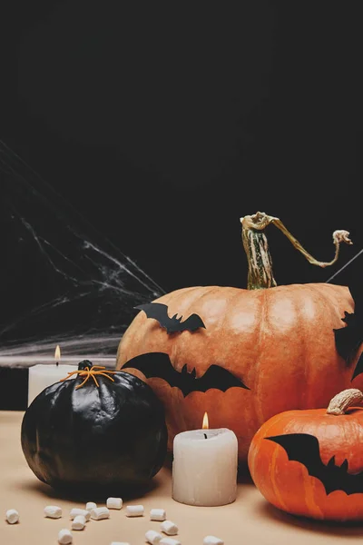 Kağıt Yarasalar Halloween Pumpkins Örümcek — Stok fotoğraf