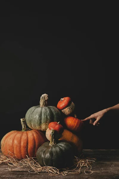 Imagem Recortada Mulher Tocando Abóboras Mesa Conceito Halloween — Fotografia de Stock Grátis