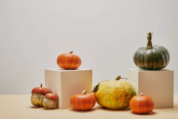 Autumnal Decoration Pumpkins Two Cubes Beige Table — Stock Photo, Image