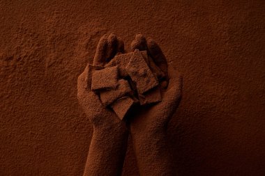 cropped shot of person holding chocolate pieces and cocoa powder  clipart