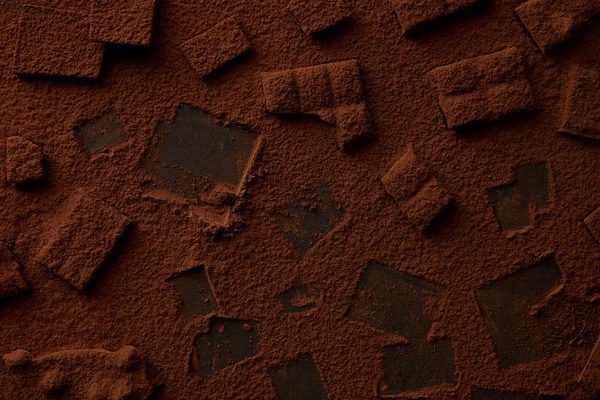 Вид Зверху Смачні Шоколадні Шматочки Какао Порошок — Безкоштовне стокове фото