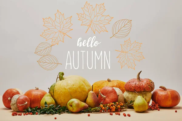 Autumnal Decoration Pumpkins Firethorn Berries Ripe Yummy Pears Tabletop Hello — Stock Photo, Image