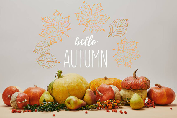 autumnal decoration with pumpkins, firethorn berries and ripe yummy pears on tabletop with HELLO AUTUMN lettering
