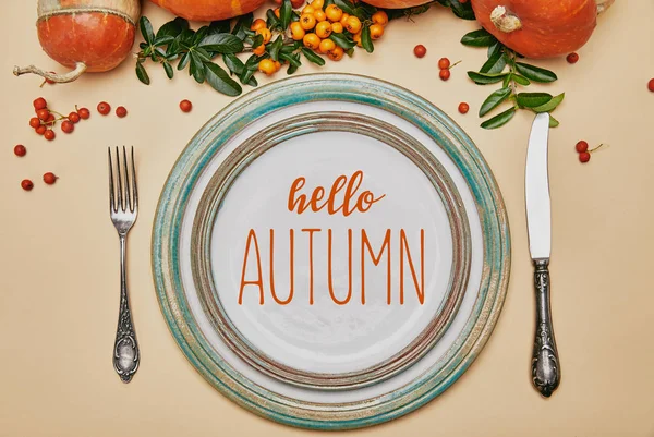 こんにちは秋の文字で感謝祭のテーブル上プレートとトキワサンザシ果実とカボチャのトップ ビュー — ストック写真