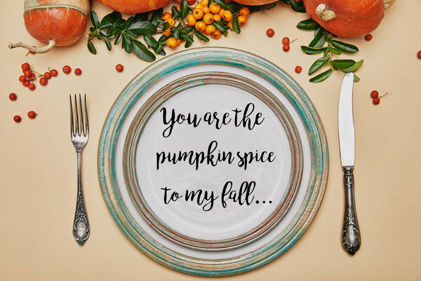 top view of plates and pumpkins with firethorn berries on thanksgiving table with YOU ARE PUMPKIN SPICE TO MY FALL lettering