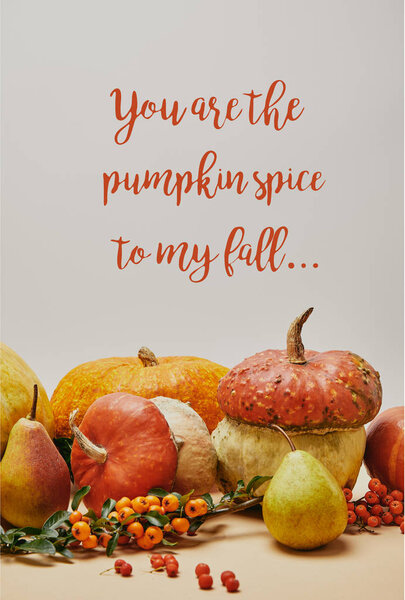 autumnal decoration with pumpkins, firethorn berries and ripe yummy pears on tabletop with YOU ARE PUMPKIN SPICE TO MY FALL lettering