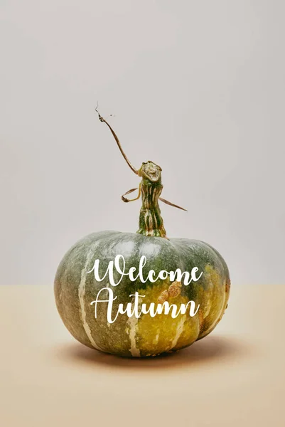 ようこそ秋のレタリングとベージュの卓上の つ秋グリーンパンプキン  — 無料ストックフォト