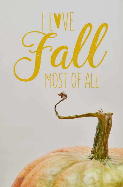close up of one ripe pumpkin isolated on white with I LOVE FALL MOST OF ALL lettering