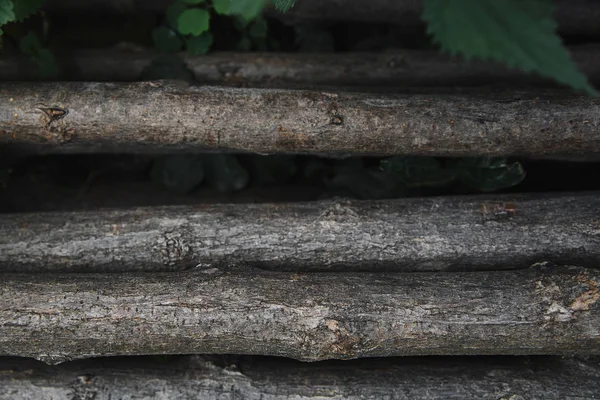 Mucchio Rami Albero Grigi Nel Parco — Foto Stock