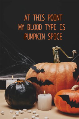 yarasalar ve kağıt üzerinde halloween pumpkins örümcek 