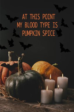 Pumpkins, siyah kağıt yarasa ve mumlar 
