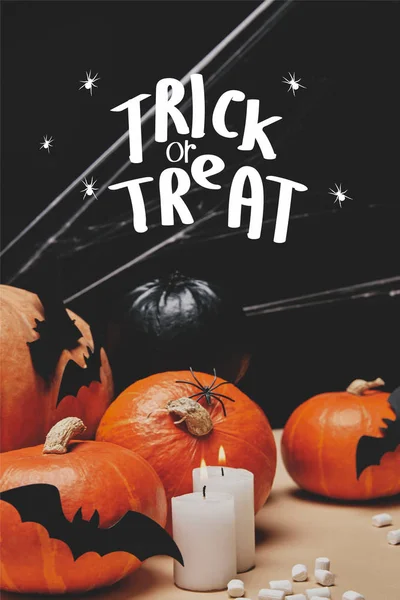 Pompoenen Met Papieren Vleermuizen Spinnenweb Tafel Met Trick Treat Halloween — Stockfoto