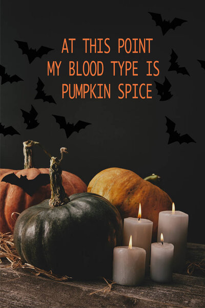 pumpkins, black paper bat and candles on table with "at this point my blood type is pumpkin spice" halloween lettering