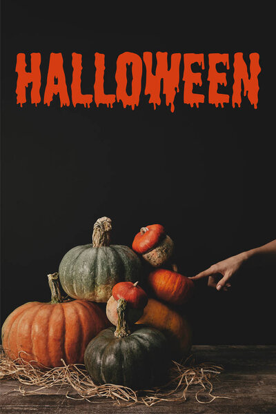 cropped image of woman touching pumpkins on table with "halloween" lettering