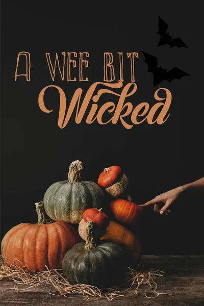 Cropped Image Woman Touching Pumpkins Table Bats Wee Bit Wicked — Free Stock Photo