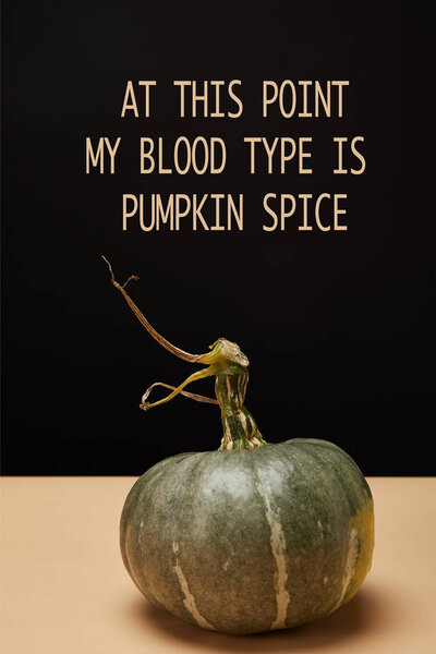 one green pumpkin on table with "at this point my blood type is pumpkin spice" halloween lettering  
