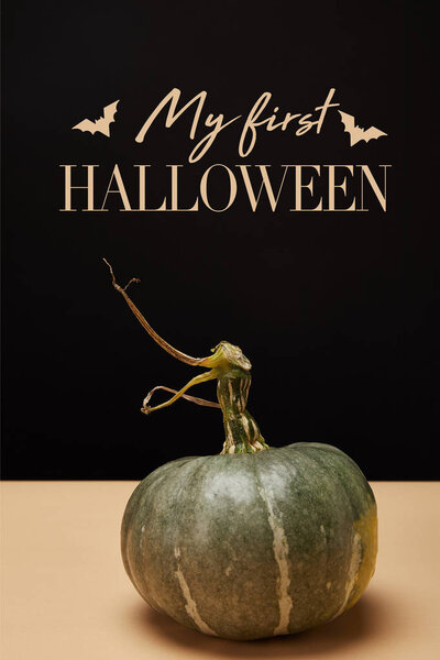 one green pumpkin on table with bats and "my first halloween" lettering  