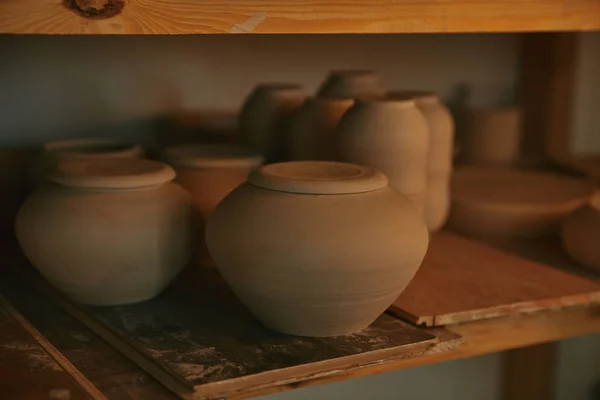 Close View Ceramic Bowls Dishes Wooden Shelves Pottery Studio — Free Stock Photo