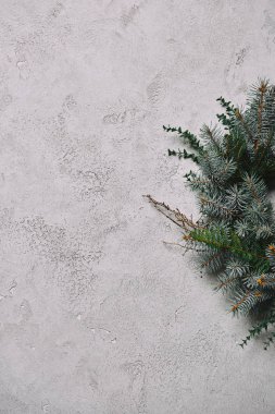 köknar çelenk gri beton duvar odadaki asılı Noel dekorasyonu için kırpılmış görüntü