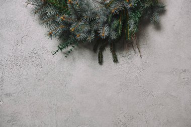 köknar çelenk gri duvar odadaki asılı Noel dekorasyonu için kırpılmış görüntü